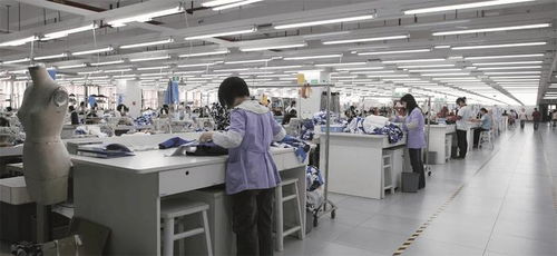 達(dá)利集團(tuán)數(shù)字化轉(zhuǎn)型 攜手高士數(shù)字科技，開啟效率與產(chǎn)能新篇章